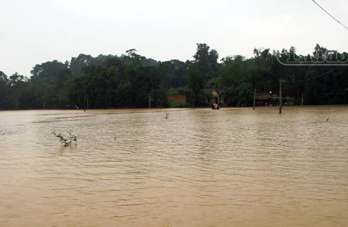 Nhảy xuống cứu con, bố cũng bị lũ cuốn trôi