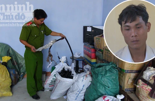 Hết tiền, đối tượng chuyên trộm cáp gọi điện xin đầu thú