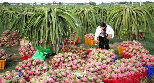 Tăng sức hút đầu tư