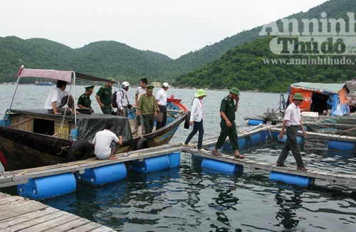 Chấm dứt nuôi trồng thủy sản tại Vũng Rô