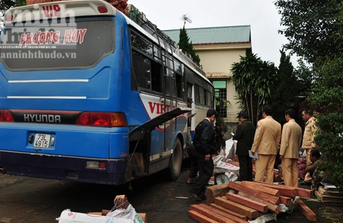 Bắt xe khách vận chuyển gỗ quý hiếm