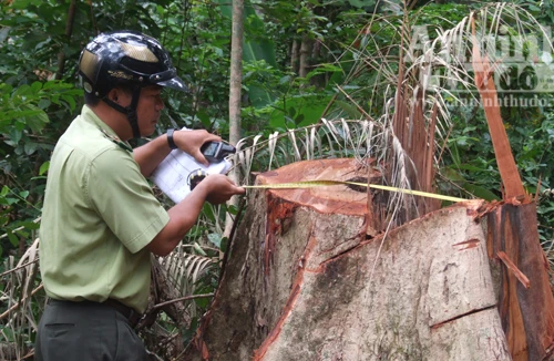 Ngành chức năng “đùn đẩy” trách nhiệm