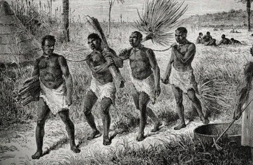 Những tranh cãi xung quanh cái gọi là "sự thật" về xác sống