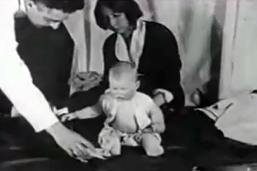 10 thí nghiệm tâm lý vô nhân tính trong lịch sử nhân loại (2)