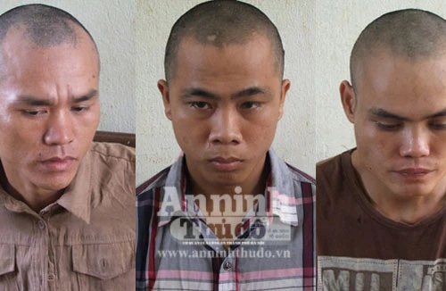 Bắt nhóm chuyên trộm cắp máy tính, lấy tiền hút chích ma túy