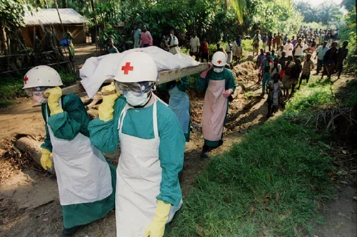 WHO: Đã có hơn 1.200 người chết vì dịch Ebola