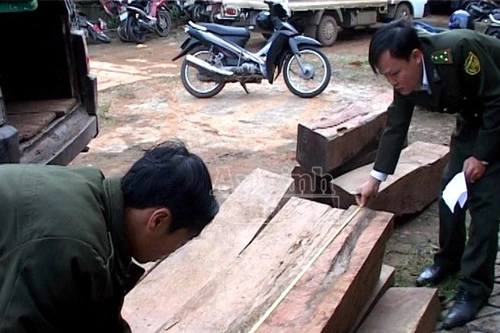 Bắt 2 vụ buôn gỗ lậu trị giá gần 300 triệu đồng