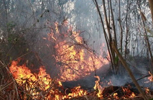 Đốt rẫy, cụ bà 68 tuổi bị chết ngạt