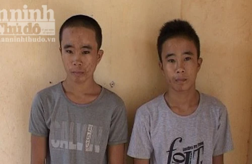 Cặp song sinh gây ra hàng loạt vụ trộm sa lưới