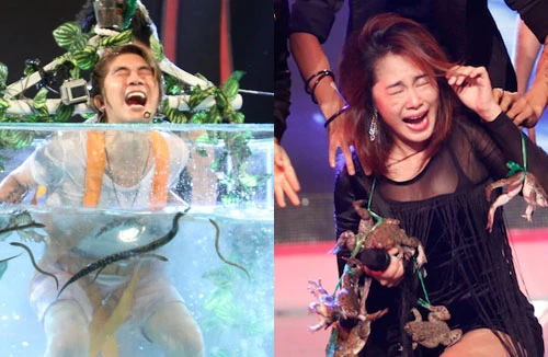 Khánh Đơn "bơi" trong bể rắn, Lương Bích Hữu "điệu đà" với vòng cổ bằng...ếch