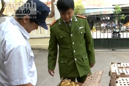 Hơn 13.000 con gia cầm nhập lậu đi xe chất lượng cao