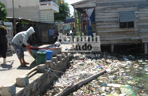 Vô tư xả thải: vịnh Cam Ranh đang thành... "biển thối"