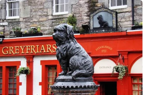 Greyfriars Bobby- chú chó trung thành của thành phố Edinburgh