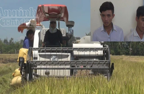 Quảng Nam: Xuất hiện nạn bảo kê máy gặt ở các làng quê 