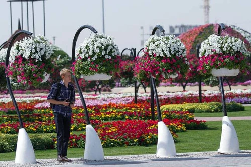 Chiêm ngưỡng công viên hoa tự nhiên lớn nhất thế giới