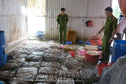 Hà Nội: Phát hiện 2 tấn mực thối chuẩn bị “tuồn” vào các đám cưới