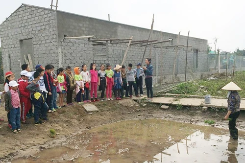 Trại hè, khóa học kỹ năng: Phí cao, chất lượng phập phù