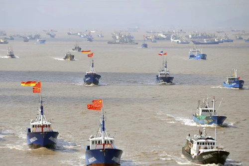 Nam Phi bắt giữ 3 tàu cá Trung Quốc