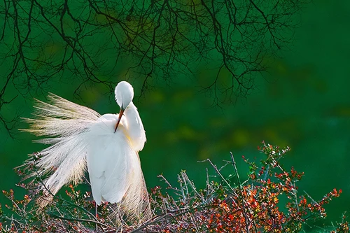 Nhiếp ảnh gia Nguyễn Duy Tưởng giành 7 giải thưởng 