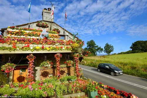 Kỳ thú ngôi nhà được bao phủ bởi hoa tươi