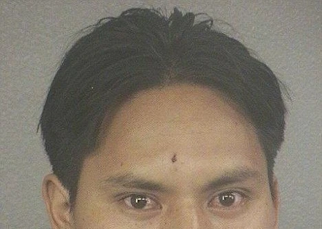 Bị bắt giam vì quan hệ với thú cưng