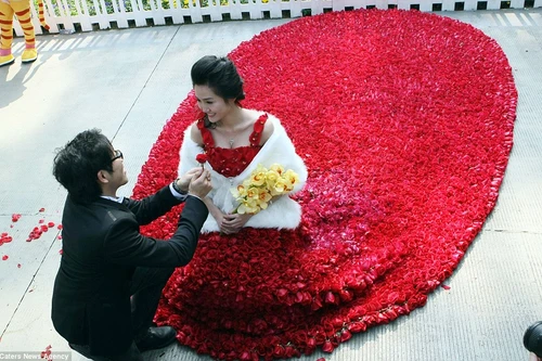 Choáng với váy làm từ 9999 bông hồng tặng bạn gái