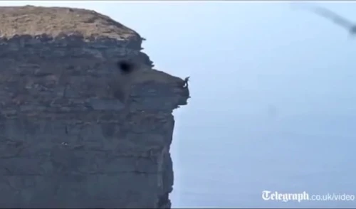 Chàng trai liều lĩnh lập kỷ lục nhảy từ vách núi