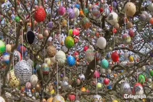 Cây trứng Phục sinh "mọc" 10.000 quả