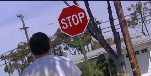 Trang trí biển báo giao thông hình bông hoa