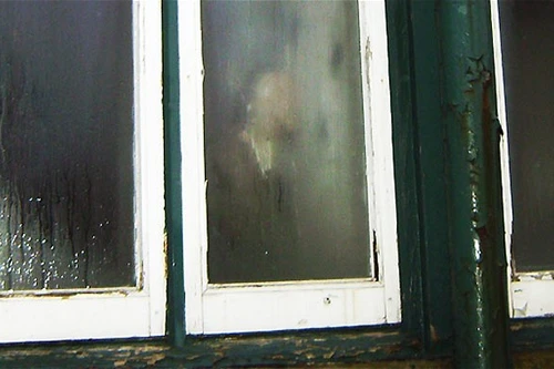 Phát hiện hồn ma của mẹ bên cửa sổ