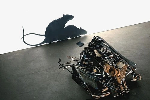 Những đống rác phản chiếu bóng hình độc đáo