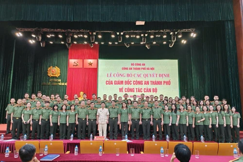 Hoàn thành xuất sắc nhiều giải pháp mang tính đột phá, chưa có tiền lệ trong công tác tổ chức cán bộ