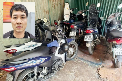 Đánh sập đường dây trộm cắp, tiêu thụ xe máy xuyên quốc gia