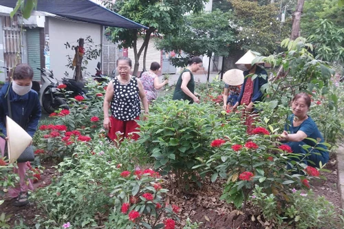 Giữ gìn vệ sinh môi trường trên địa bàn phường Định Công 