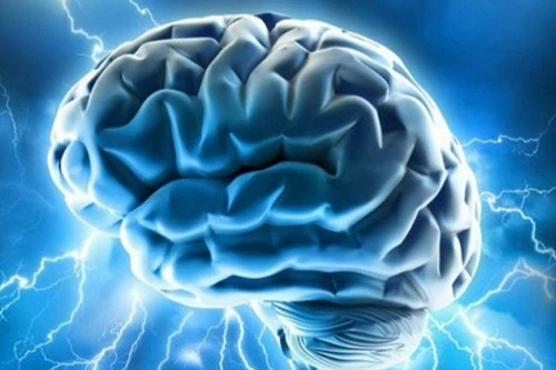 Lầu Năm Góc muốn gắn chíp vào não để giao tiếp trực tiếp với máy tính