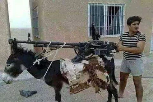 Dùng lừa làm giá súng "độc nhất vô nhị"!