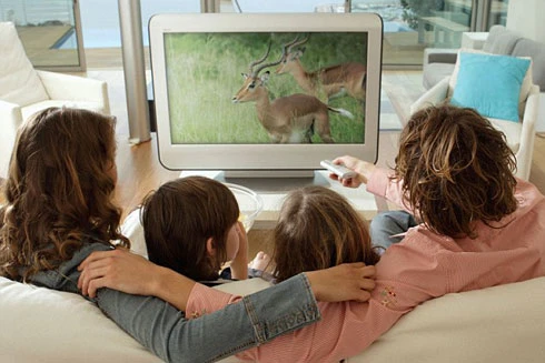 Xem nhiều tivi giảm lượng tinh trùng