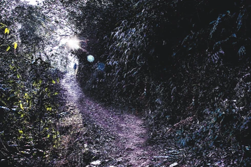 Đi tìm sự thật về "miền độc dược"