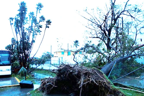 Mexico: 6 người thiệt mạng do bão nhiệt đới Earl