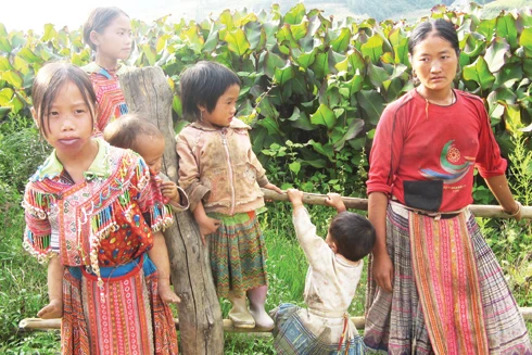 Ánh mắt Hà Giang