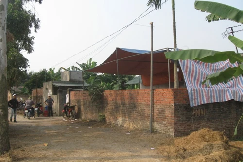 Xác chết phân hủy được phát hiện trong vườn chuối 