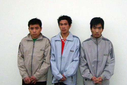 Triệt phá nhóm trộm biến áp gây án tại 8 tỉnh thành