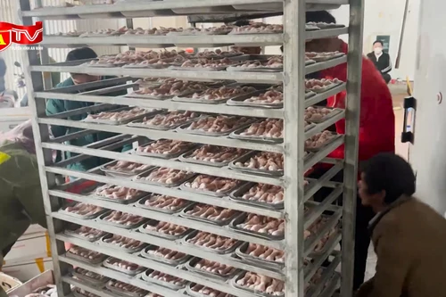 Cận Tết, “lộ” nhiều cơ sở chế biến, kinh doanh thực phẩm “bẩn”