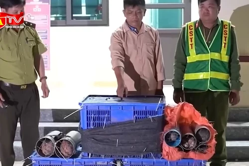 Phát hiện xe máy chở hàng trăm động vật hoang dã