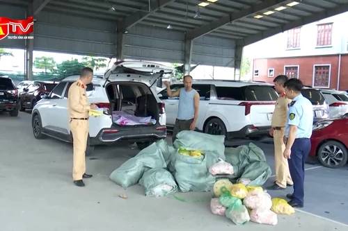 Phát hiện xe chở hơn nửa tấn da lợn sống, không chứng từ, tiềm ẩn nguy cơ dịch bệnh