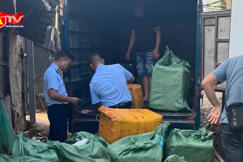 Cận cảnh gần 800 kg trứng gà non, tràng gà “3 không” suýt lên bàn nhậu