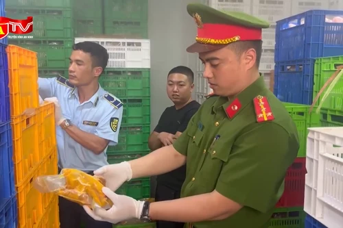 Phát hiện nhiều kho lạnh chứa hàng chục tấn thực phẩm bẩn 