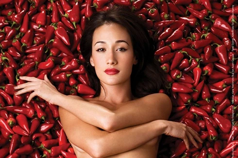 [ẢNH] Chiêm ngưỡng nhan sắc "vạn người mê" của dàn mỹ nhân gốc Việt nổi tiếng thế giới