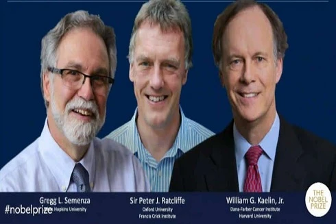 [Clip] Chân dung ba nhà khoa học đoạt giải Nobel Y học 2019