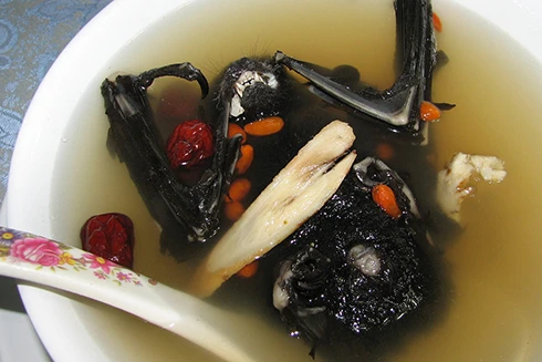 [ẢNH] Những đặc sản "kinh dị" thử thách lòng can đảm du khách ở Thái Lan